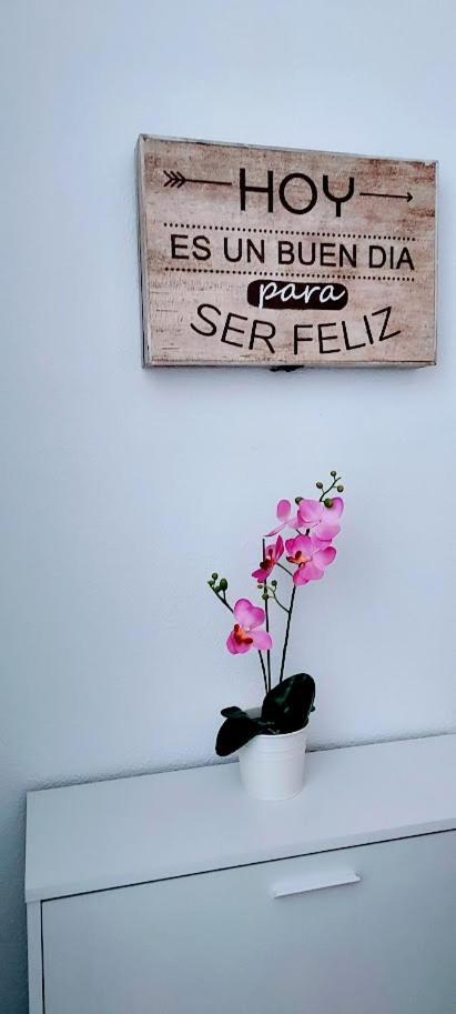 בנידורם Apartamento Viena VI מראה חיצוני תמונה