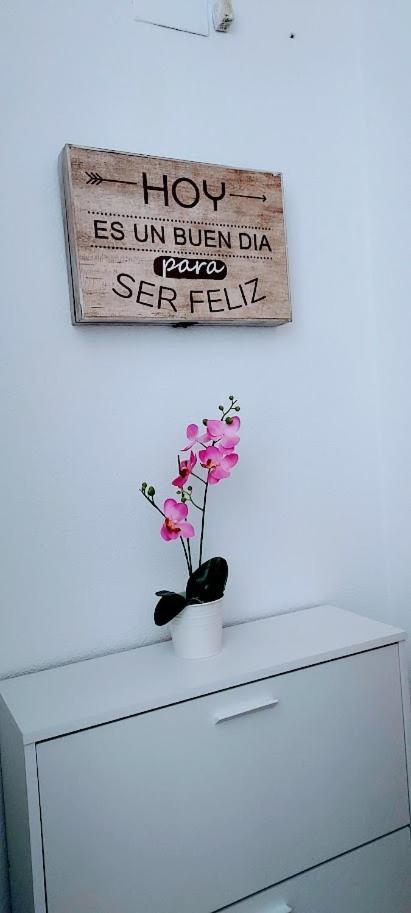 בנידורם Apartamento Viena VI מראה חיצוני תמונה